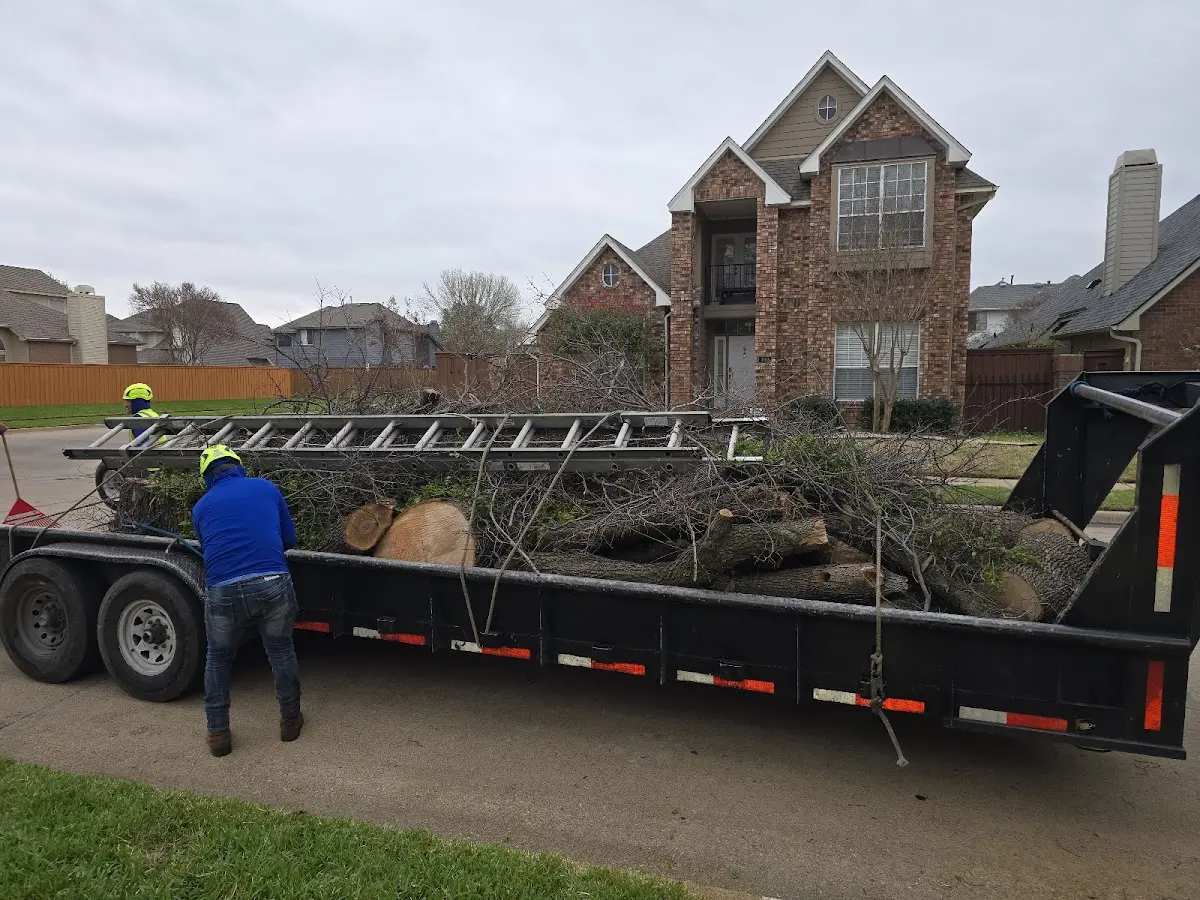 Expert Lot Clearing with proper safety equipment in Prince